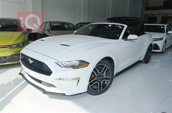 Ford for sale in Iraq